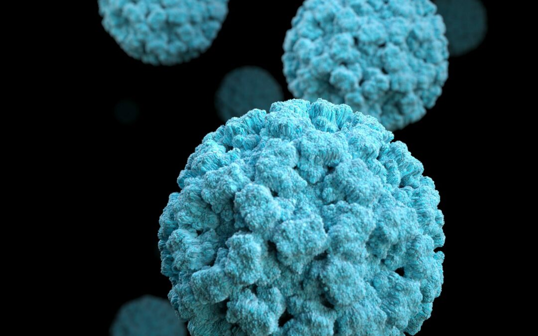 HPV-Nachweis (positive Testung auf ein humanes Papillomavirus)